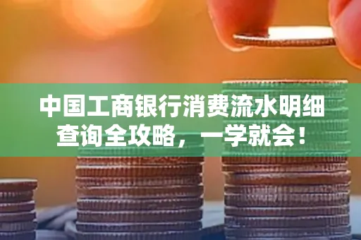 中国工商银行消费流水明细查询全攻略，一学就会！