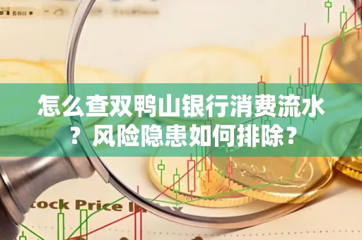 怎么查双鸭山银行消费流水？风险隐患如何排除？