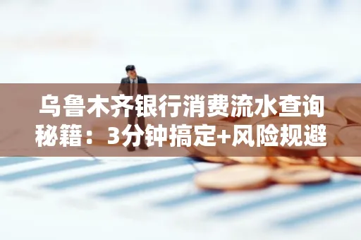 乌鲁木齐银行消费流水查询秘籍：3分钟搞定+风险规避干货