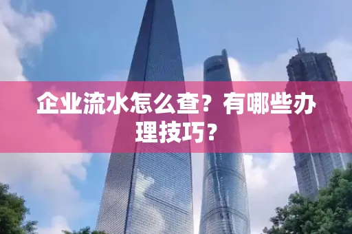 企业流水怎么查？有哪些办理技巧？