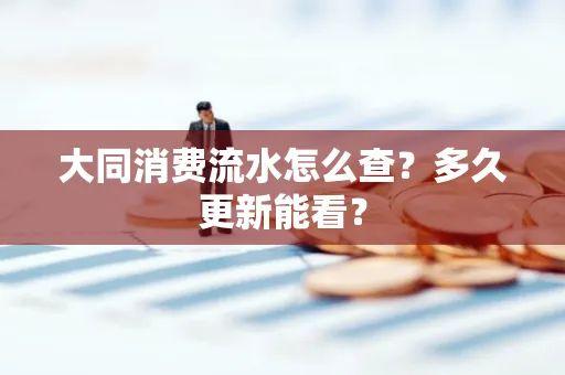 大同消费流水怎么查？多久更新能看？