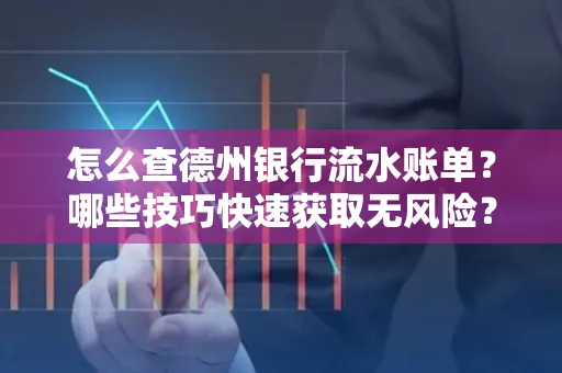 怎么查德州银行流水账单？哪些技巧快速获取无风险？